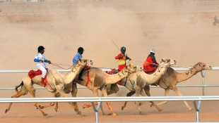 Even As MERS Epidemic Grows, The Source Eludes Scientists