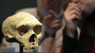 Diabetes Gene Common In Latinos Has Ancient Roots
