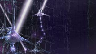 Experimental Tool Uses Light To Tweak The Living Brain