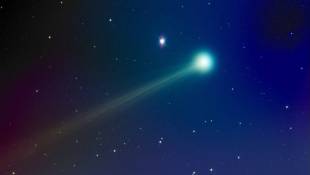 Comet Fans Psyched For A Celestial Feast On Thanksgiving Day