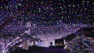 500,000 Lights: Family's Christmas Display Sets New World Record