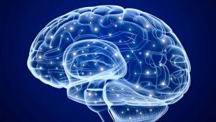 New Concussion Training Enhances Existing School Policies