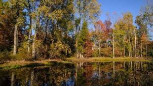 Pence Brings Together State, Public Lands For Bicentennial Conservation Project