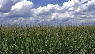 Hoosier Ethanol Producers Waiting For EPA Decision