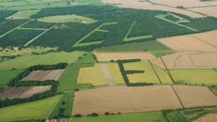 I'm Not Just Gaming, Ma! I'm Helping The World's Farmers