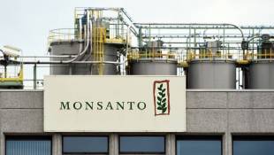 Chemical Giant Bayer Agrees To Buy Monsanto For $66 Billion