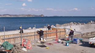 In Tsunami's Wake, Fierce Debate Over Japan's 'Great Wall'