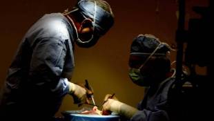 Who Gets First Dibs On Transplanted Liver? Rules May Change