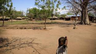 Malawian Farmers Say Adapt To Climate Change Or Die
