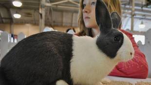 Bill Ensures Students Can Attend State Fair ‒ Even If School Has Started