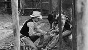 New Exhibit Highlights Gay Rodeo