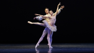 Young Stars of Ballet