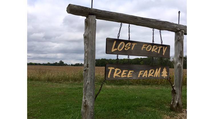Lost Forty Tree Farm (repeat of Oct. 2016 show)