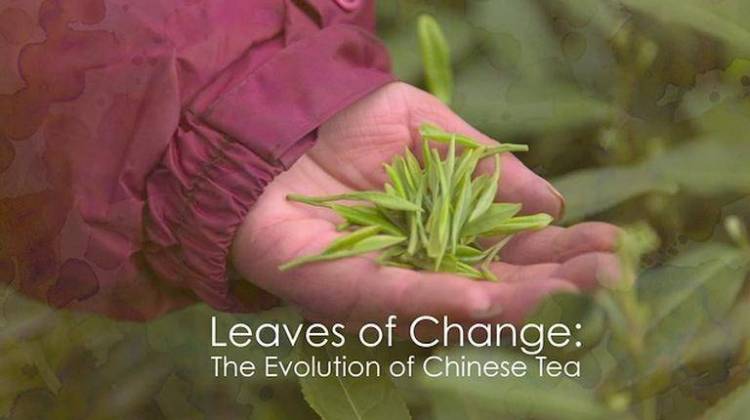 Leaves of Change: The Ageless Tradition of Chinese Tea