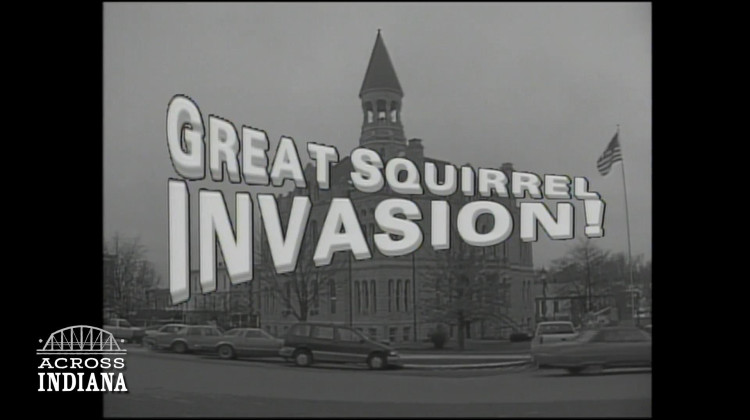 The Great Squirrel Invasion | Classic Across Indiana