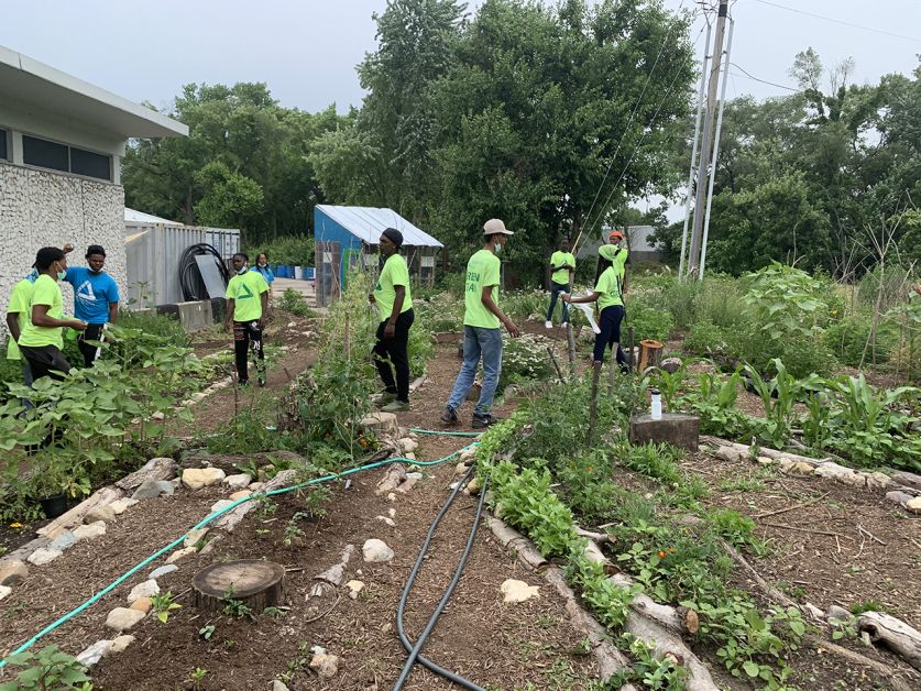 The garden's layout is not traditional. The big logs outline a walking path so visitors and gardeners won't trample the baby plants, and certain vegetables are paired together to repel pests and provide support to the soil.