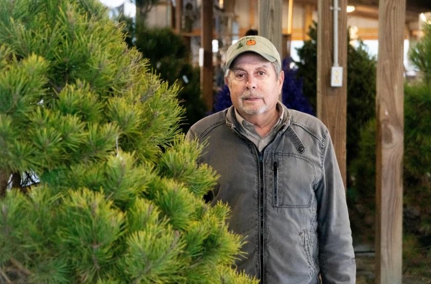 Larry Goebel of Goebel Farms stands beside a pre-cut pine tree in their Armstrong Township farm stand/show room. They are one of only a few Christmas Tree Farms in Southern Indiana. Their busy season begins around Thanksgiving.