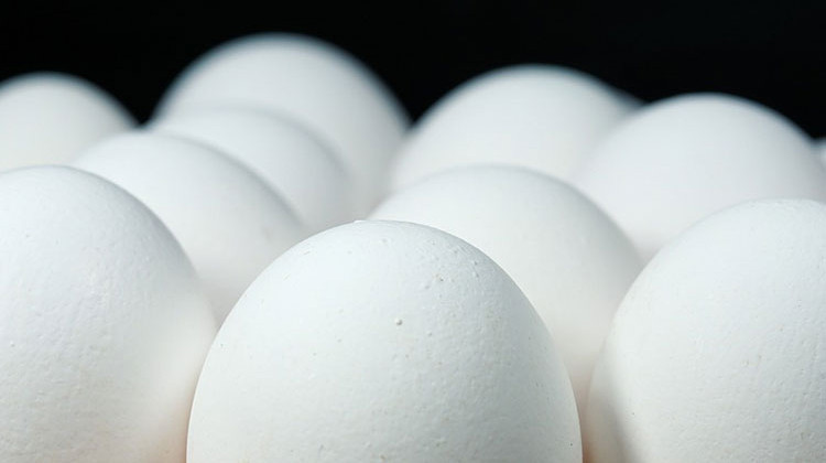 Supreme Court Won't Preside Over Challenge To State Egg Laws