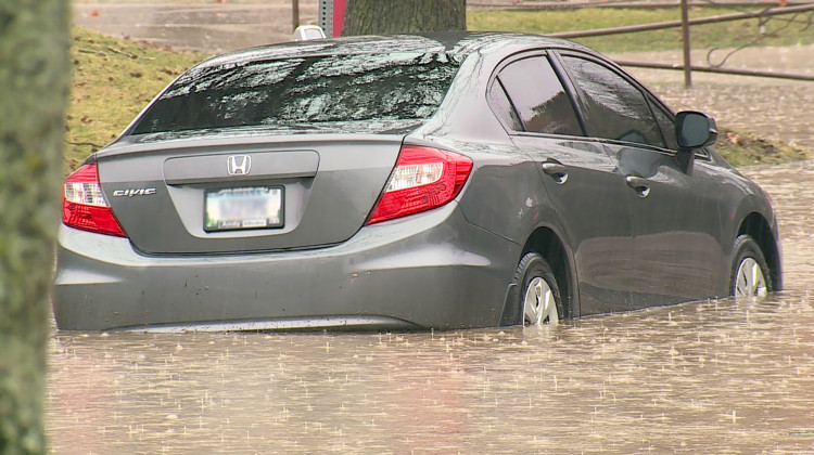 The funding can also be used for green infrastructure — like rain gardens — to reduce flooding and protect aquatic life in waterways nearby. - FILE PHOTO: Steve Burns/WTIU