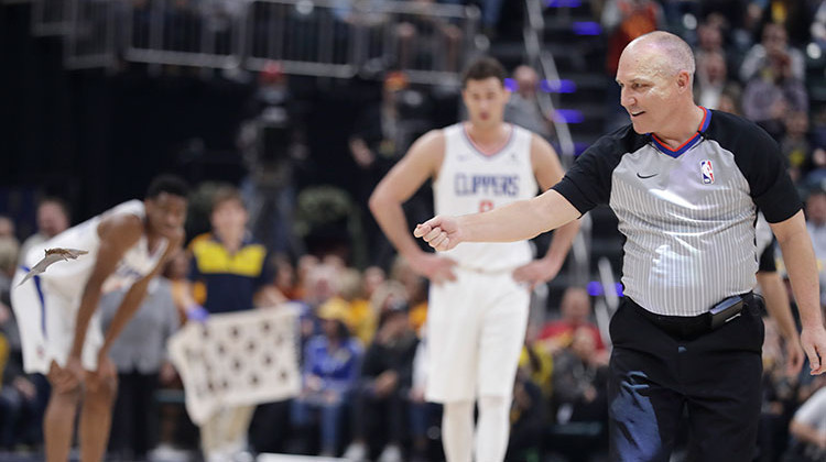 Referee Ron Garretson reacts as a bat flies on the court during the first half of an NBA basketball game between the Indiana Pacers and the Los Angeles Clippers, Thursday, Feb. 7, 2019, in Indianapolis.  - AP Photo/Darron Cummings