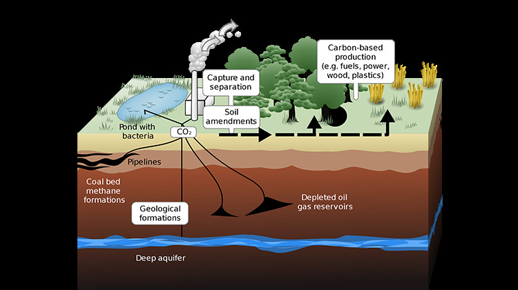 Ways carbon dioxide can be sequestered on land and underground.  - (LeJean Hardin and Jamie Payne/Wikimedia Commons)