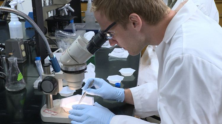 Students in Keith Clay's lab at Indiana University are working to develop a system that helps determine if it will be a bad year for mosquito and tick-borne diseases in Indiana. - Zach Herndon/WTIU