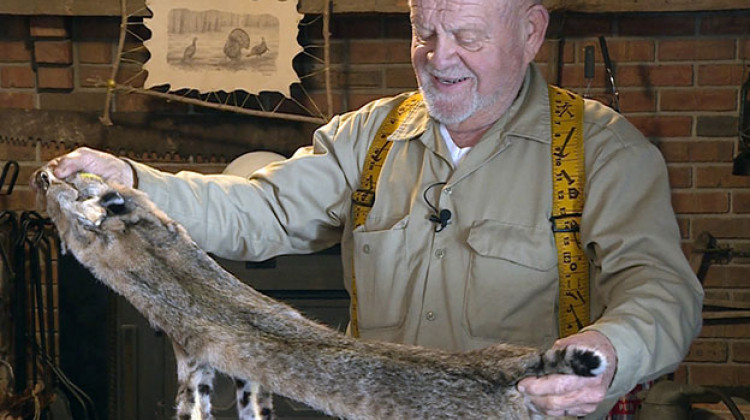 One of the proposals would have legalized a bobcat hunting season in Indiana. - Steve Burns WFIU/WTIU News