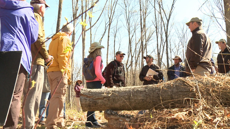 Members of the Indiana Forest Alliance discuss logging policy with state representatives and DNR employees.