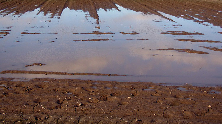 Rains Leave Many Indiana Farmers Well Behind In Planting