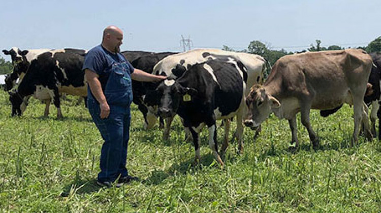 Problems On Pasture: Dairy Farmers React To Declining Consumption