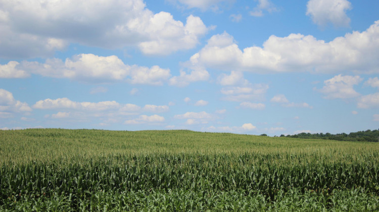 Elkhart County farmland. - Samantha Horton/IPB News