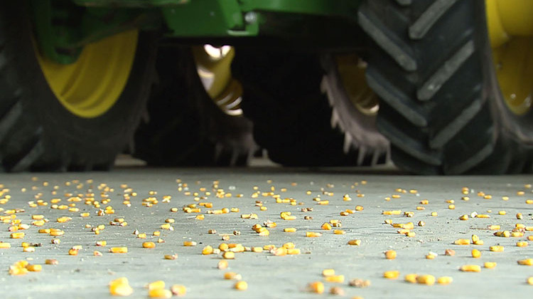 Farmers could soon have to find a new market for their grain if production does not resume at a Cloverdale ethanol plant. - FILE PHOTO: Steve Burns/WTIU