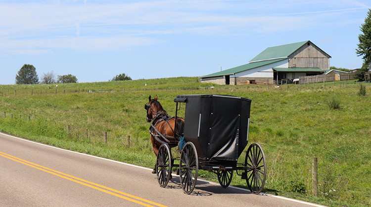 How The Amish Live Uninsured But Stay Healthy 