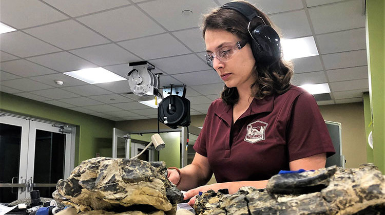 The newly opened Jurassic Paleo Prep Lab in the Children’s Museum of Indianapolis allows visitors to watch and ask questions as fossils are cleaned and prepped. - Provided by the Children's Museum of Indianapolis