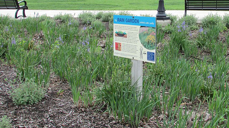 The Great Lakes Commission recommends steps to encourage greater reliance on natural features such as rain gardens, like this one in Valparaiso, to filter out pollutants before they reach tributaries that drain into the Great Lakes. - Chris Light/CC-BY-SA-4.0