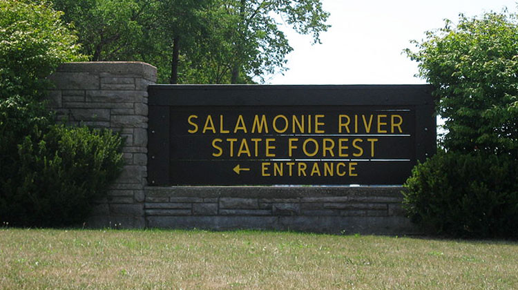 The Salamonie River State Forest is about 60 miles north of Indianapolis. - Nyttend/public domain