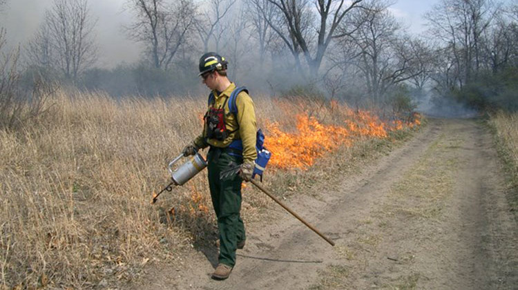 Burns Planned For 1,100 Acres Of Indiana Dunes National Park