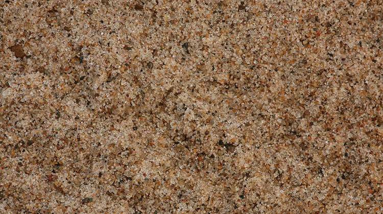 Lake Michigan sand. - Daniel Schwen/CC-BY-SA-3.0