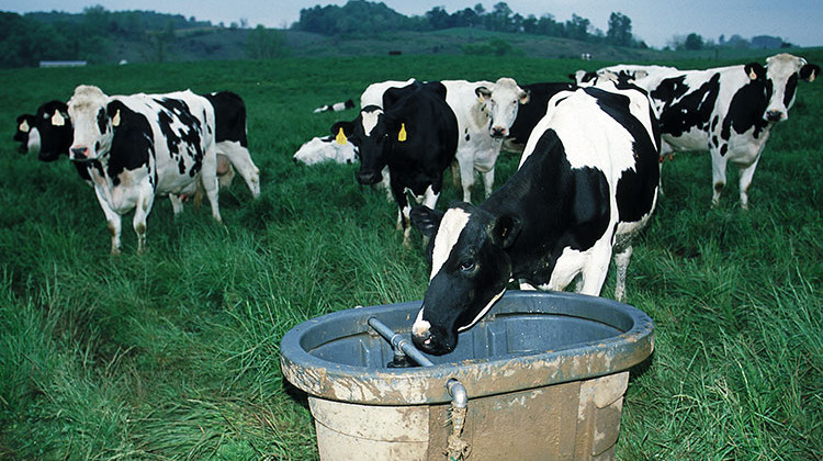 Organic Dairy Proposing CAFO Hopes New Tech Will Calm Drinking Water Fears