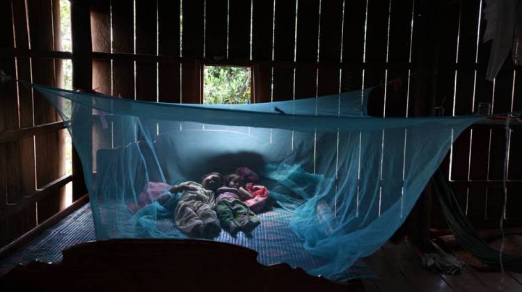 Why Ending Malaria May Be More About Backhoes Than Bed Nets