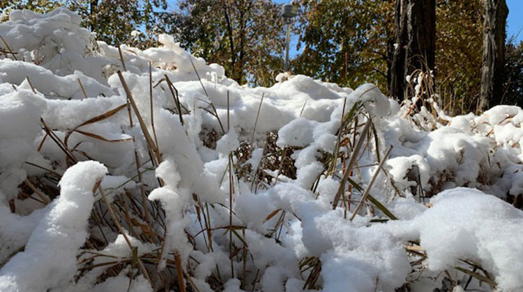 Snow in the courtyard outside WFYI's offices. - Doug Jaggers/WFYI