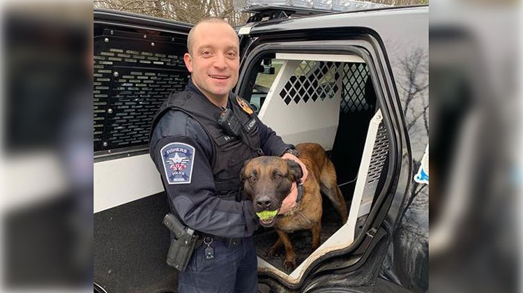 Officer Jarred Koopman is pictured here with 5-year-old Belgian Malinois, Harlej. - Courtesy Fishers Police Department/Facebook