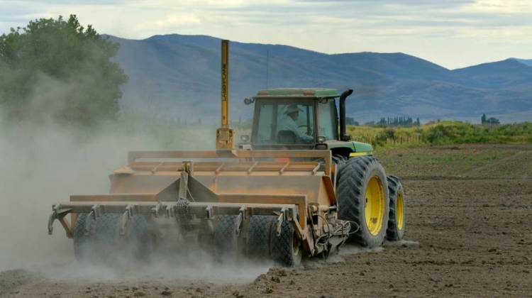 Nevada Farmers Hack The Drought By Switching Up The Crops