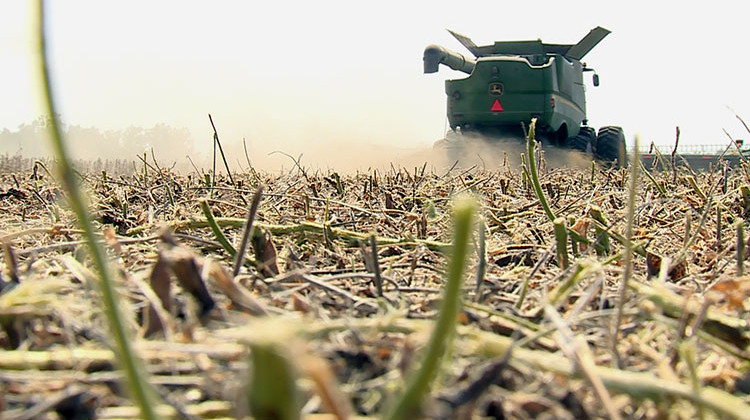 If funding for the Farm Service Agency is not restored before Friday, farmers will be kept waiting for their tariff relief payments. - Steve Burns/WFIU-WTIU News