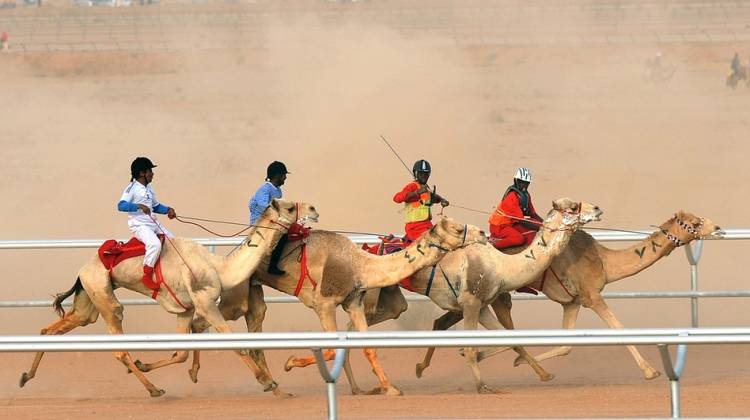 Even As MERS Epidemic Grows, The Source Eludes Scientists