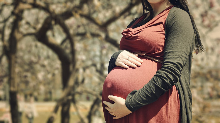 A new study underlines the gaps in support for pregnant Hoosiers. - Creative Commons/arteidamjeshtri
