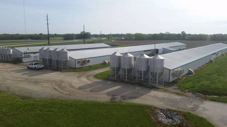 A CAFO off Route 25 in Tippecanoe County. - Annie Ropeik/IPB News