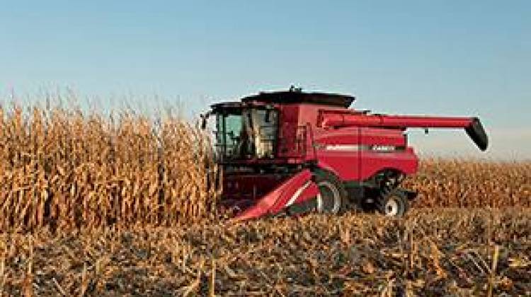 Indiana farmers are harvesting a record amount of soybeans, but those gains are being offset by lower than expected corn yields. - file photo