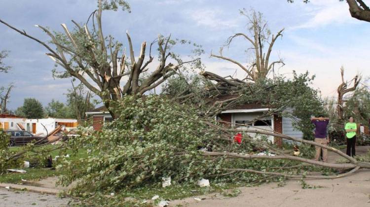 A tornado touched down near Imperial Dive in Kokomo, causing damage to trees and property nearby. - Annie Ropeik/Indiana Public Broadcasting