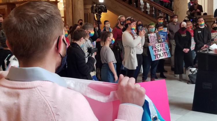 Hundreds of Hoosiers have gathered at the Statehouse to protest HB 1041 and HB 1134 this session, including a rally ahead of a Senate education committee meeting Wednesday. - (Jeanie Lindsay/IPB News)